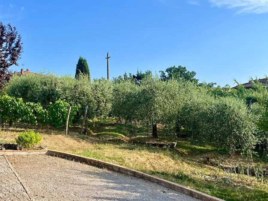 Immagine 19 di Casa bifamiliare in vendita  a Asciano