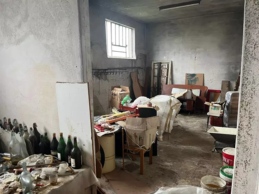 Immagine 9 di Casa indipendente in vendita  a Terricciola