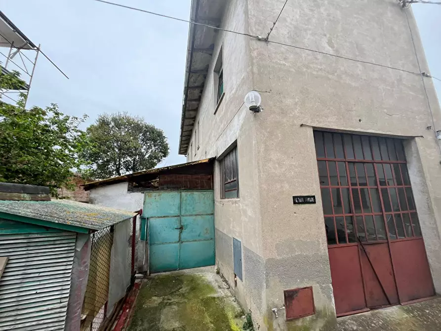 Immagine 6 di Casa indipendente in vendita  a Terricciola