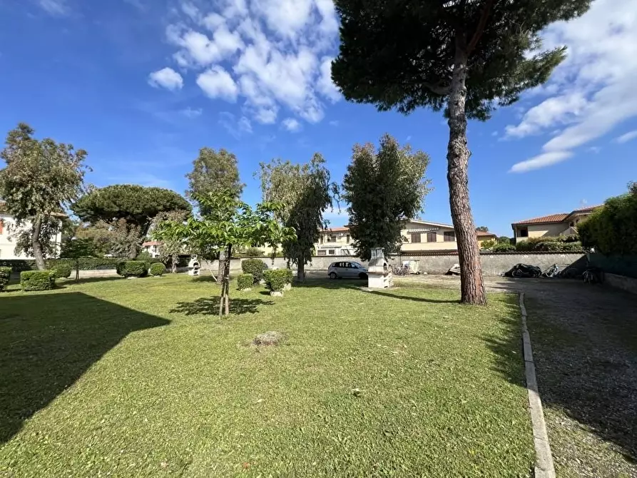 Immagine 11 di Appartamento in vendita  a Rosignano Marittimo