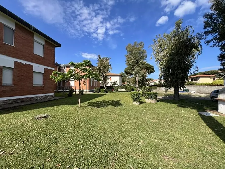 Immagine 13 di Appartamento in vendita  a Rosignano Marittimo