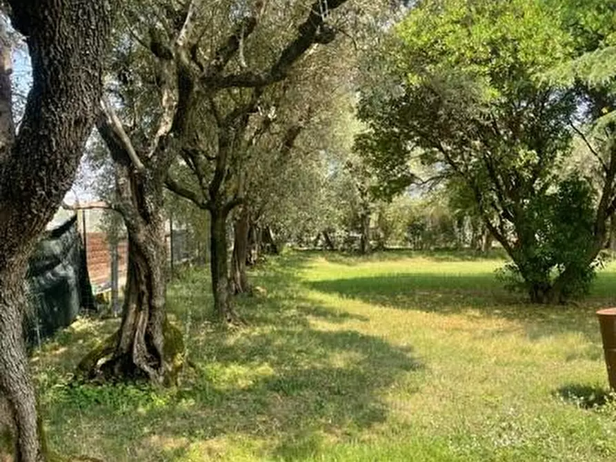 Immagine 4 di Casa indipendente in vendita  a Pietrasanta