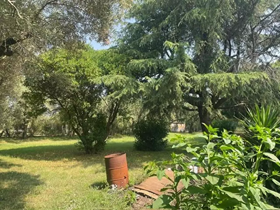 Immagine 3 di Casa indipendente in vendita  a Pietrasanta