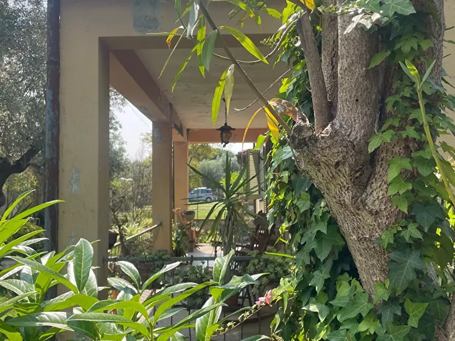 Immagine 9 di Casa indipendente in vendita  a Pietrasanta