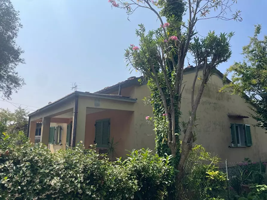 Immagine 6 di Casa indipendente in vendita  a Pietrasanta