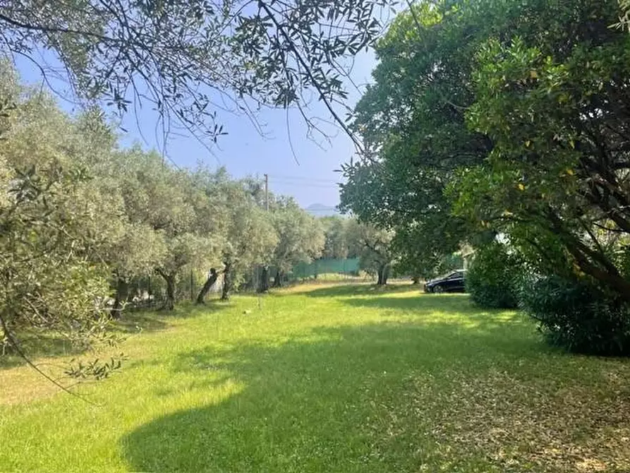 Immagine 5 di Casa indipendente in vendita  a Pietrasanta