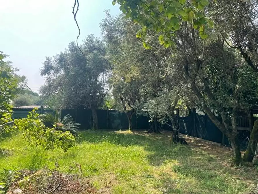 Immagine 2 di Casa indipendente in vendita  a Pietrasanta