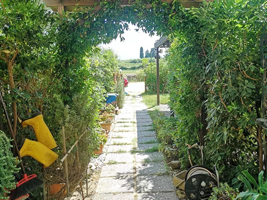 Immagine 6 di Porzione di casa in vendita  a Campiglia Marittima