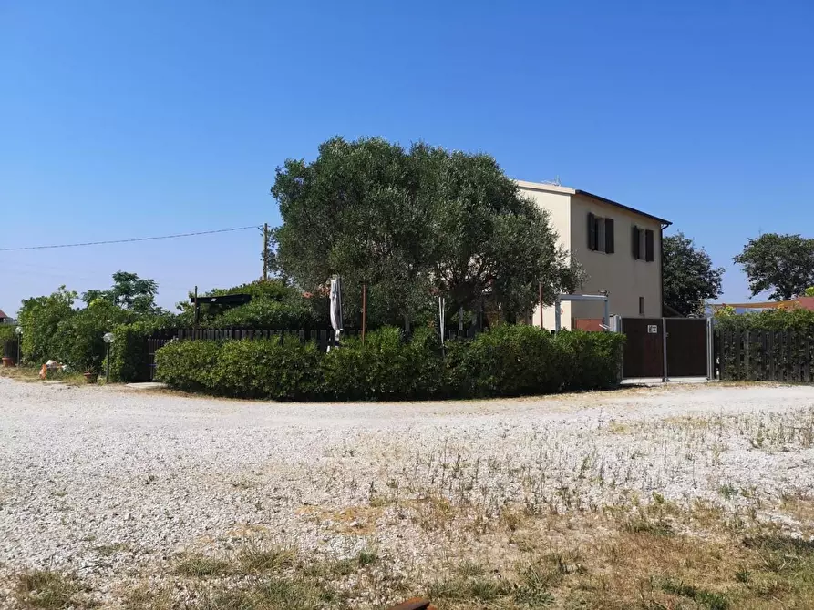 Immagine 3 di Porzione di casa in vendita  a Campiglia Marittima