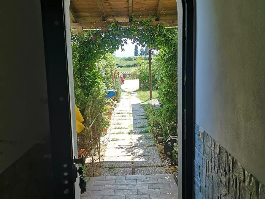 Immagine 8 di Porzione di casa in vendita  a Campiglia Marittima