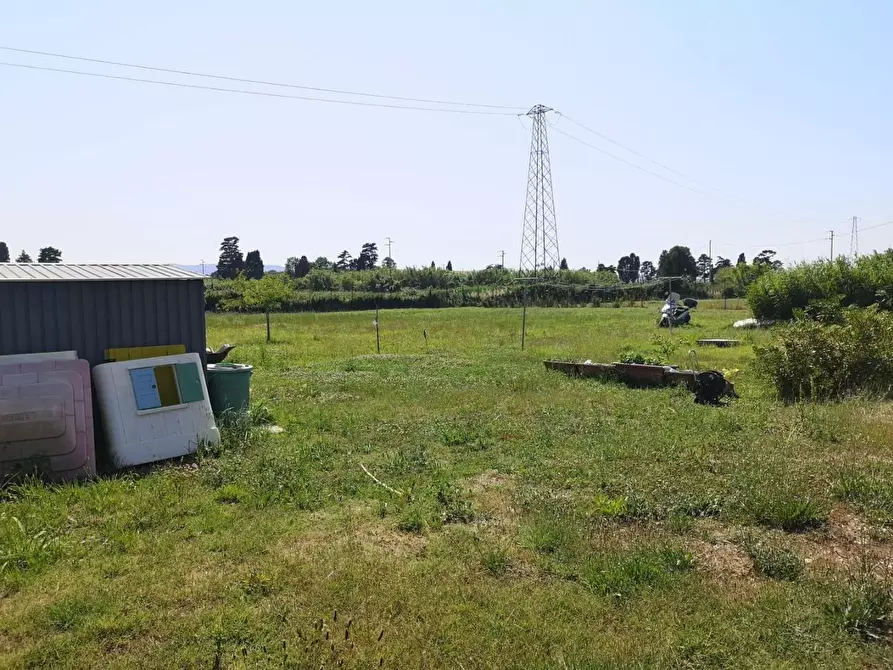 Immagine 2 di Porzione di casa in vendita  a Campiglia Marittima