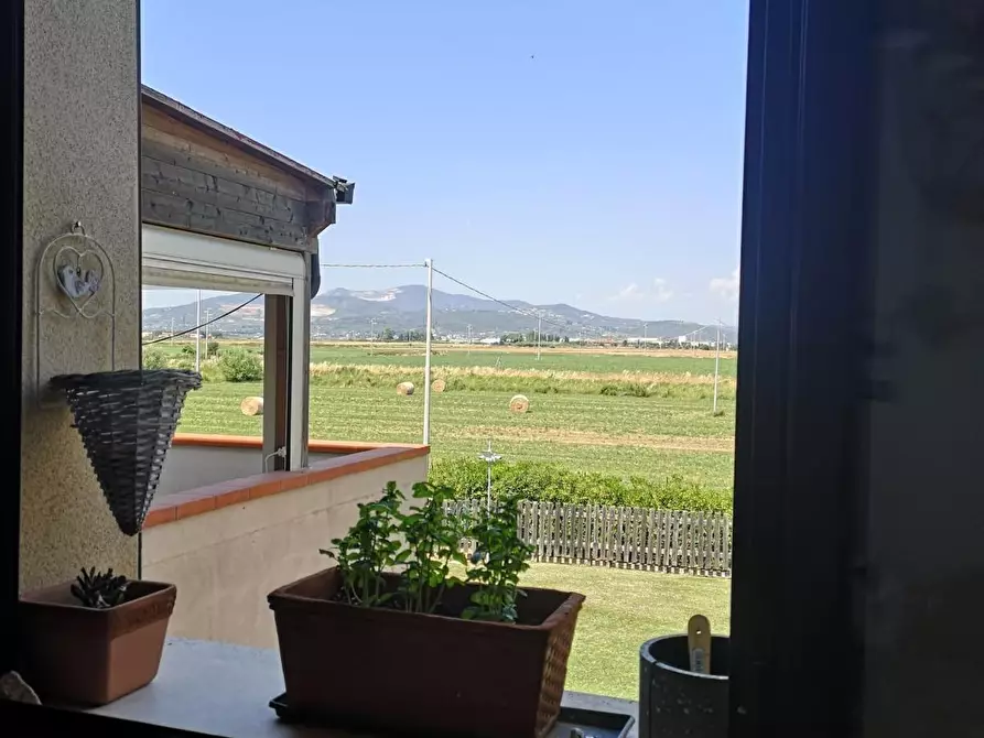 Immagine 25 di Porzione di casa in vendita  a Campiglia Marittima