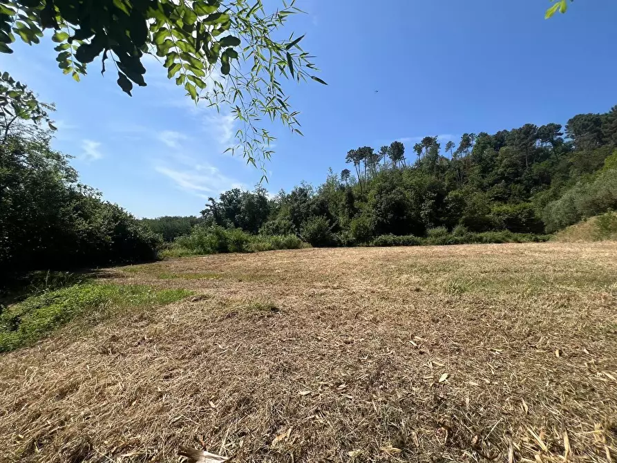 Immagine 21 di Casa colonica in vendita  a Buti