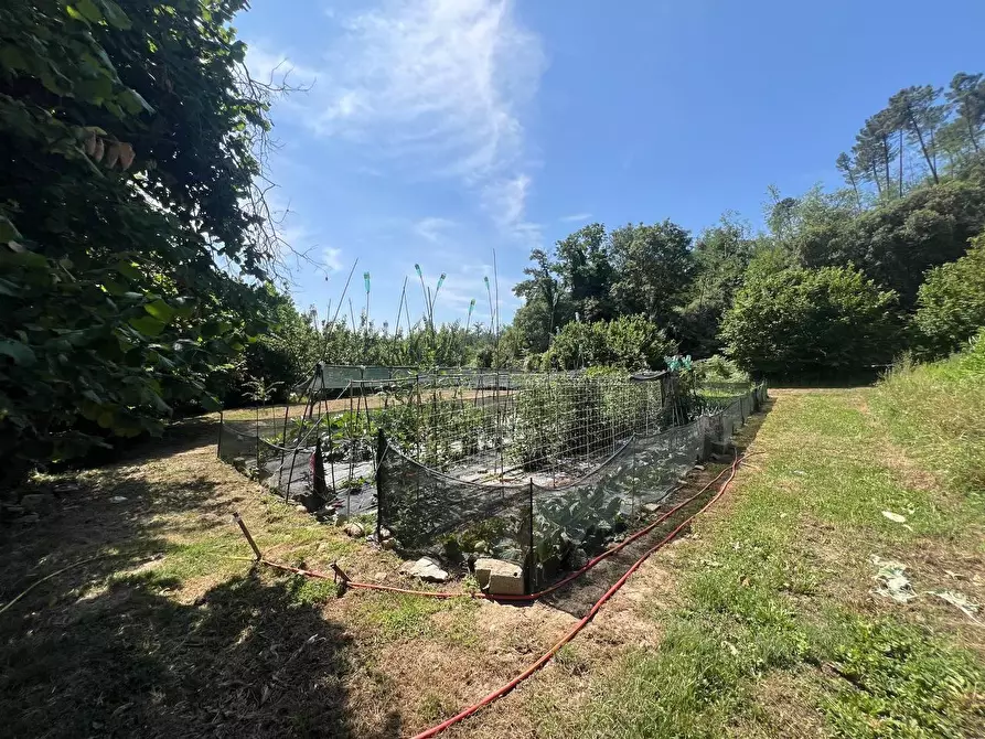 Immagine 22 di Casa colonica in vendita  a Buti