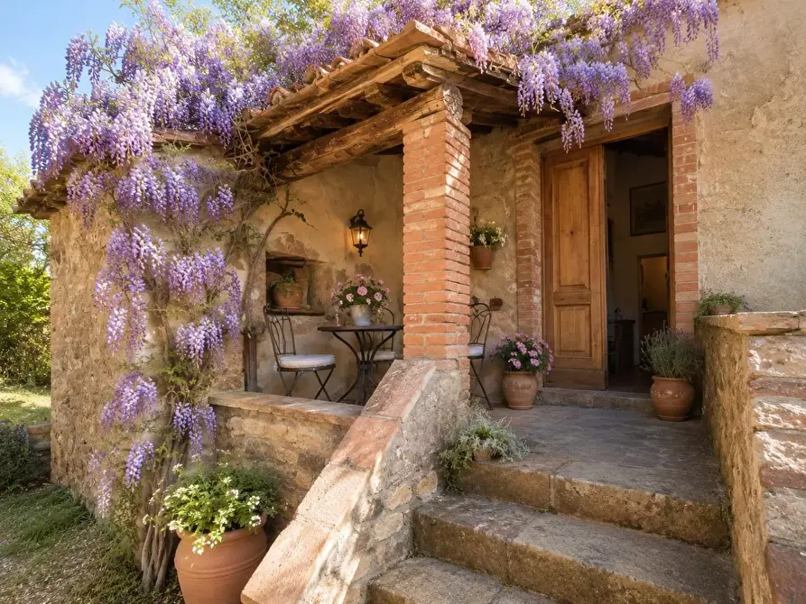 Immagine 9 di Casa colonica in vendita  a Buti