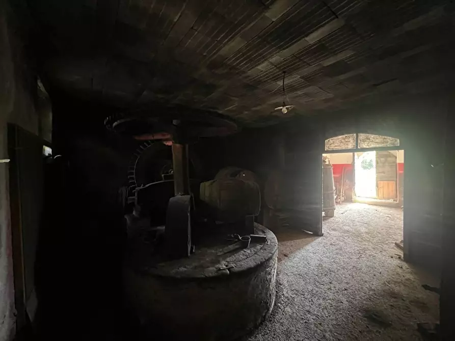 Immagine 18 di Casa colonica in vendita  a Buti