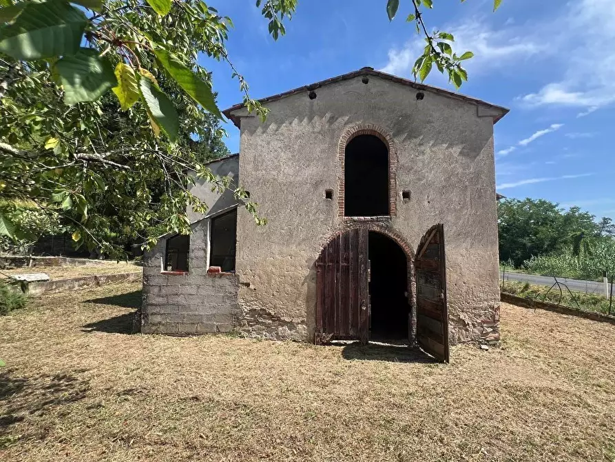 Immagine 5 di Casa colonica in vendita  a Buti