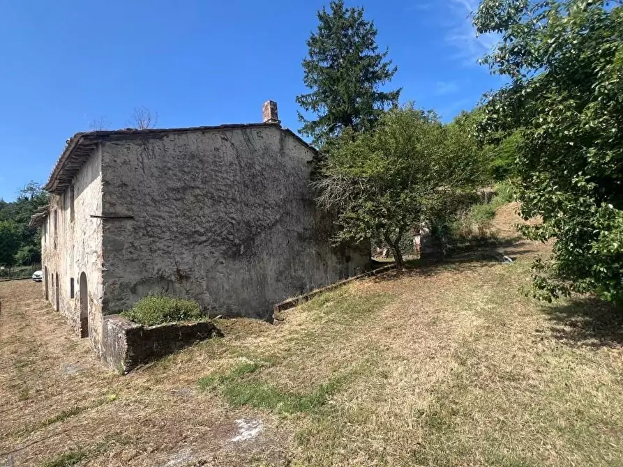 Immagine 3 di Casa colonica in vendita  a Buti