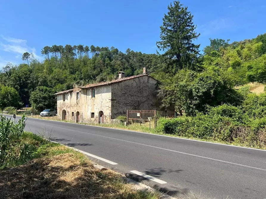 Immagine 2 di Casa colonica in vendita  a Buti