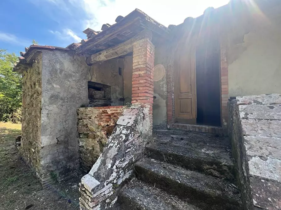 Immagine 8 di Casa colonica in vendita  a Buti