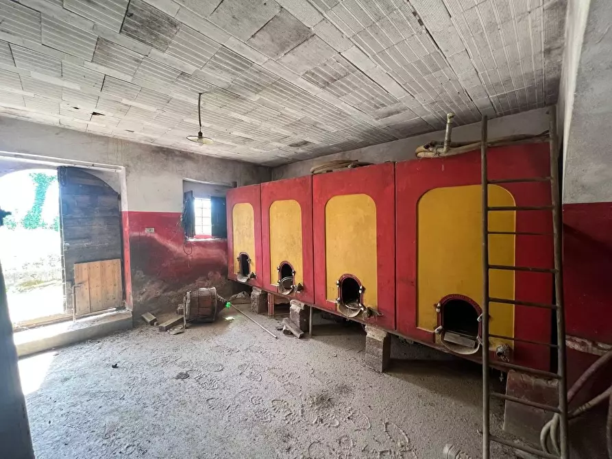 Immagine 17 di Casa colonica in vendita  a Buti