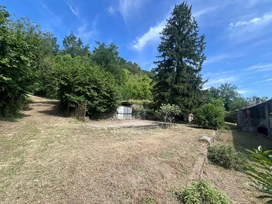 Immagine 20 di Casa colonica in vendita  a Buti