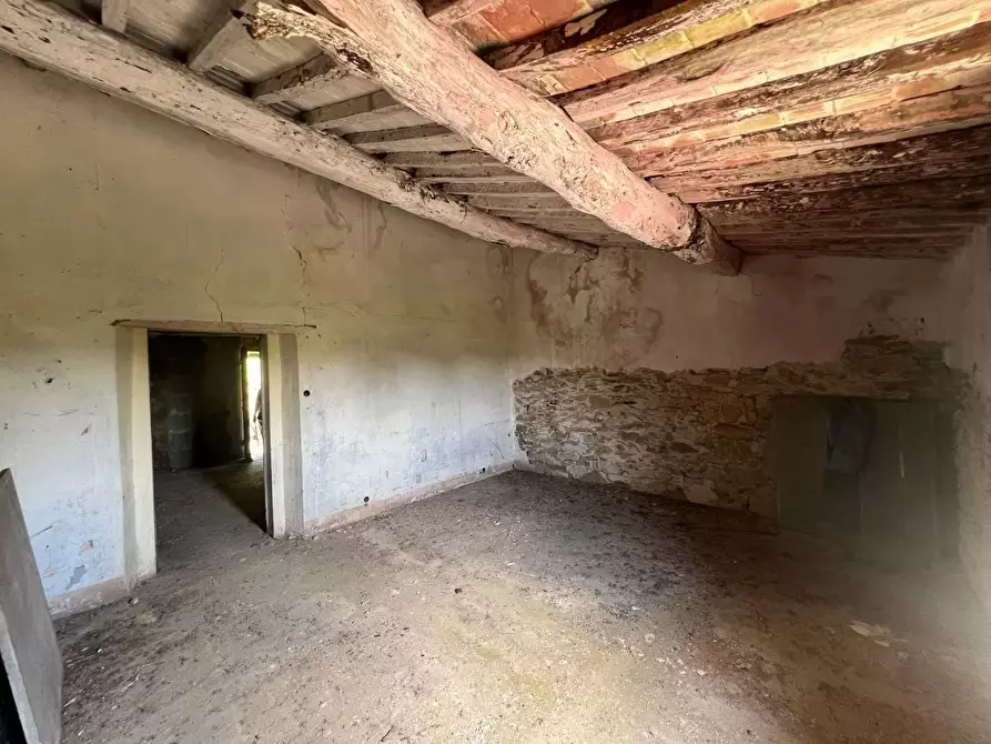 Immagine 11 di Casa colonica in vendita  a Buti