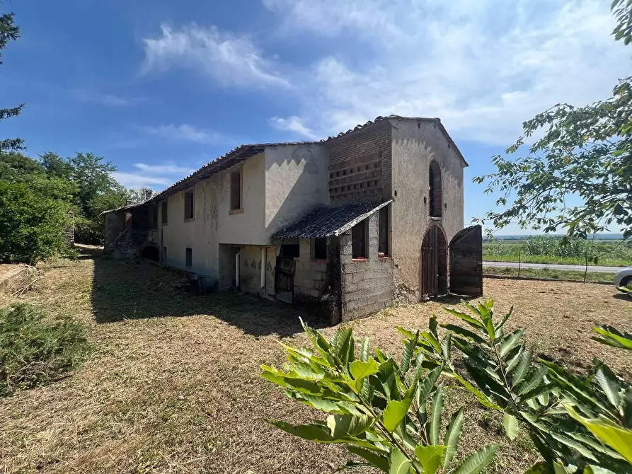 Immagine 4 di Casa colonica in vendita  a Buti