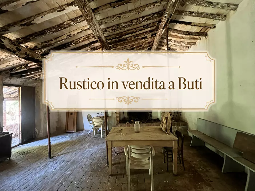 Immagine 1 di Casa colonica in vendita  a Buti