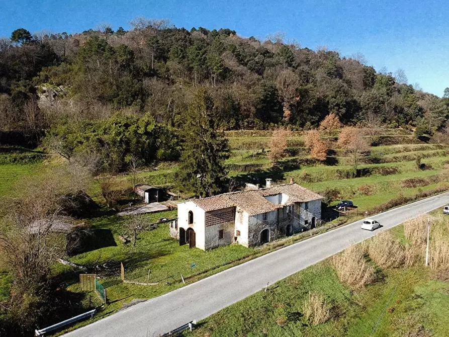 Immagine 23 di Casa colonica in vendita  a Buti