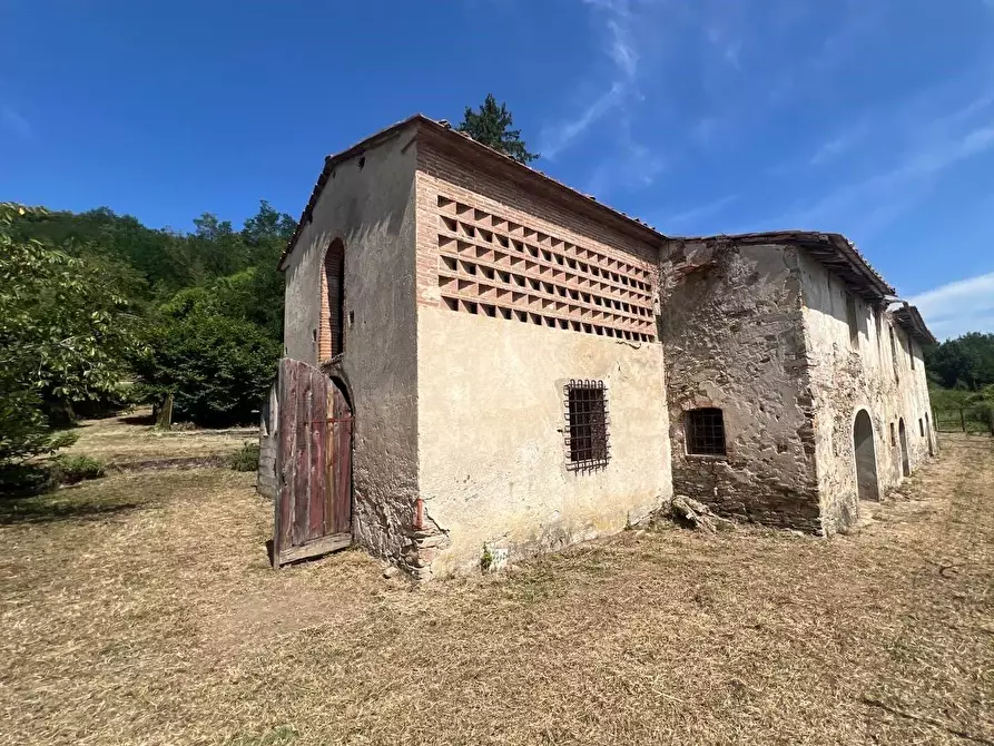 Immagine 6 di Casa colonica in vendita  a Buti
