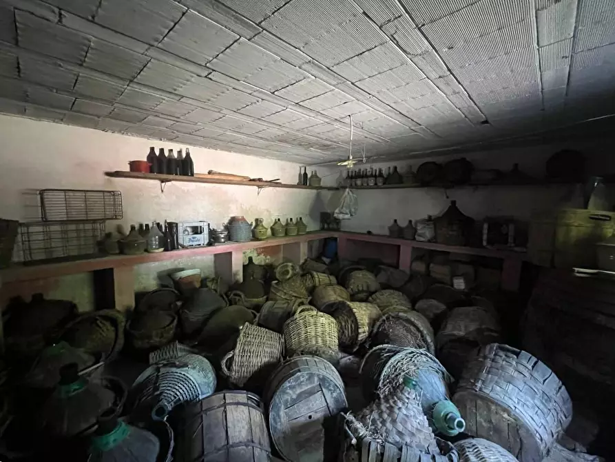 Immagine 19 di Casa colonica in vendita  a Buti