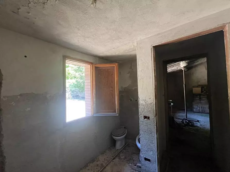 Immagine 14 di Casa colonica in vendita  a Buti