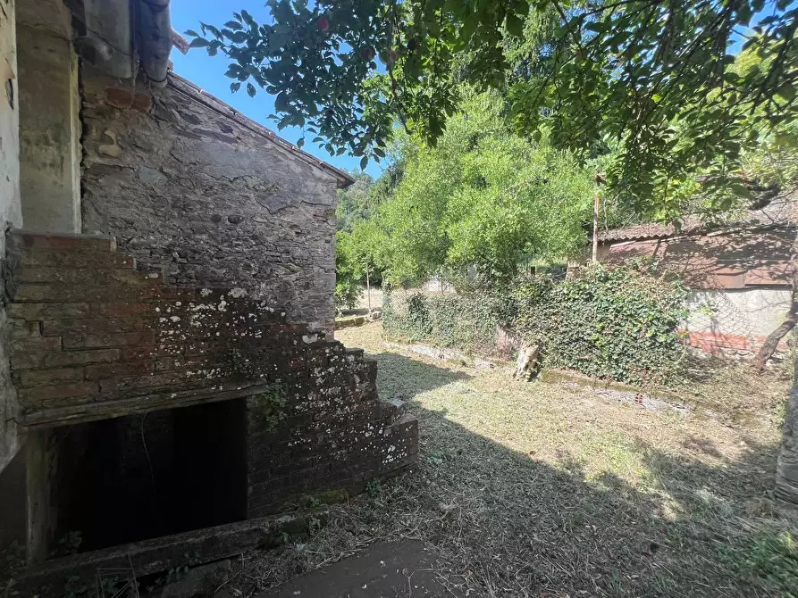 Immagine 7 di Casa colonica in vendita  a Buti