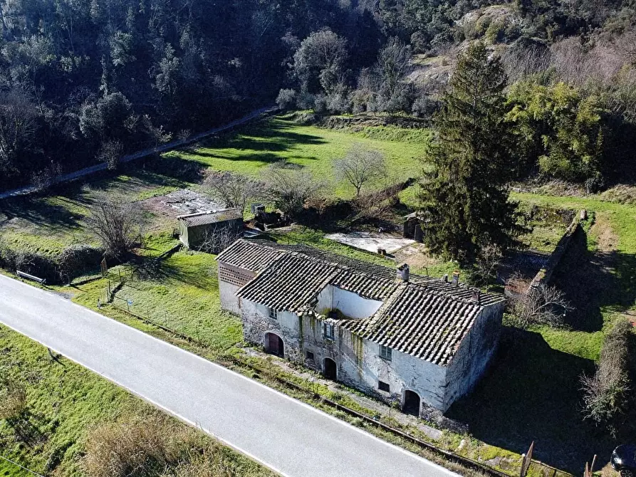 Immagine 24 di Casa colonica in vendita  a Buti