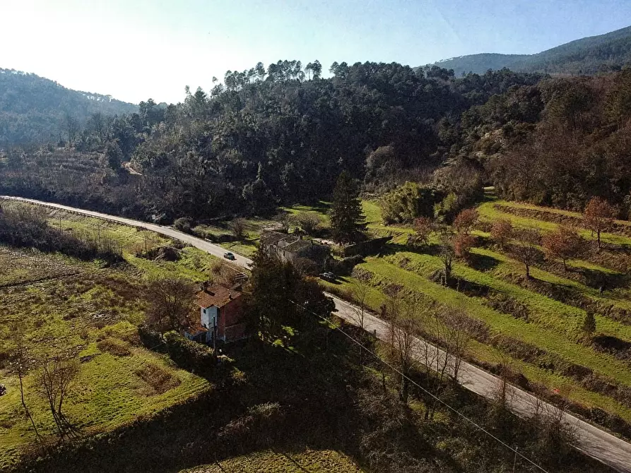 Immagine 25 di Casa colonica in vendita  a Buti