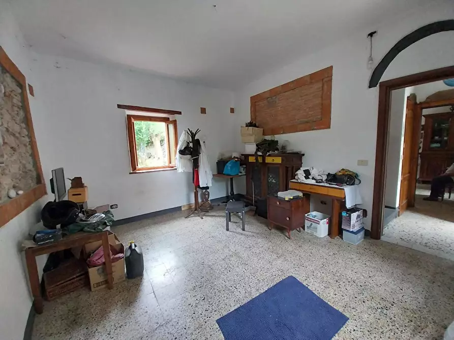 Immagine 10 di Rustico / casale in vendita  a Calci