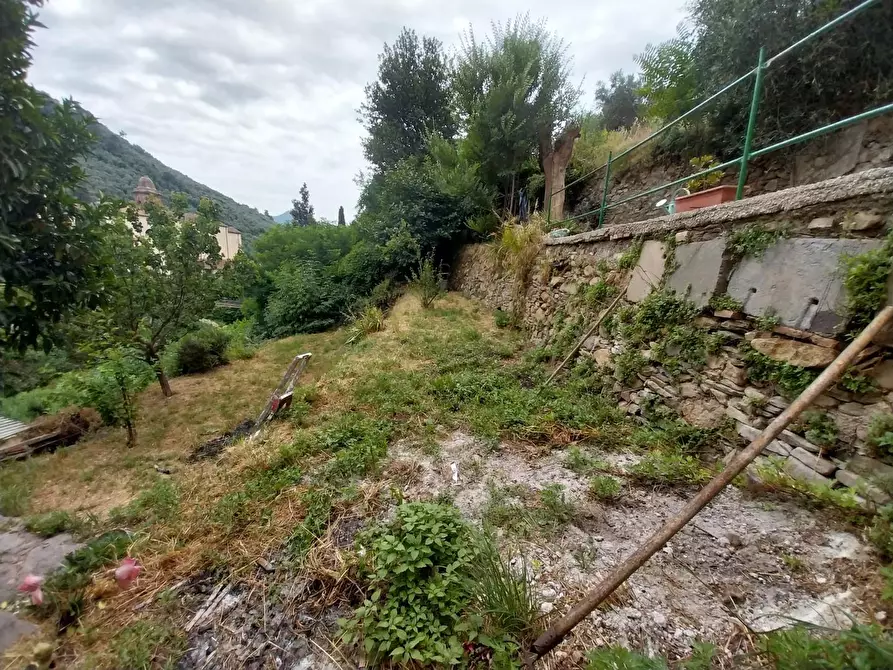 Immagine 36 di Rustico / casale in vendita  a Calci