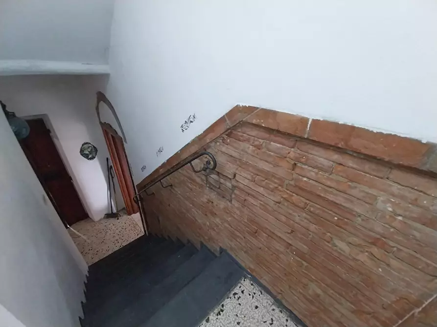 Immagine 17 di Rustico / casale in vendita  a Calci