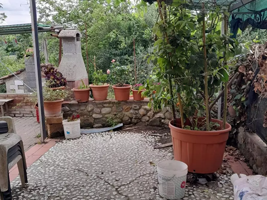 Immagine 3 di Terratetto in vendita  a San Miniato