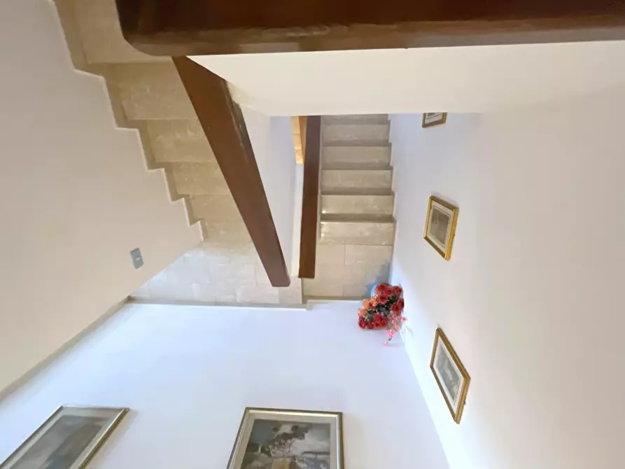 Immagine 37 di Villetta a schiera in vendita  a Camaiore