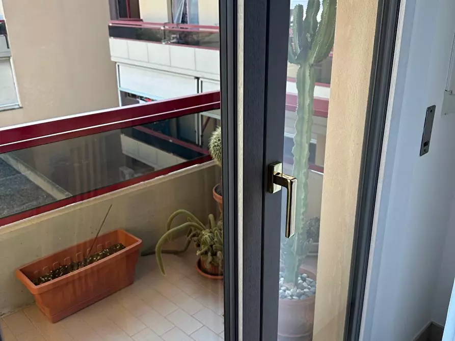 Immagine 5 di Appartamento in vendita  a Campiglia Marittima