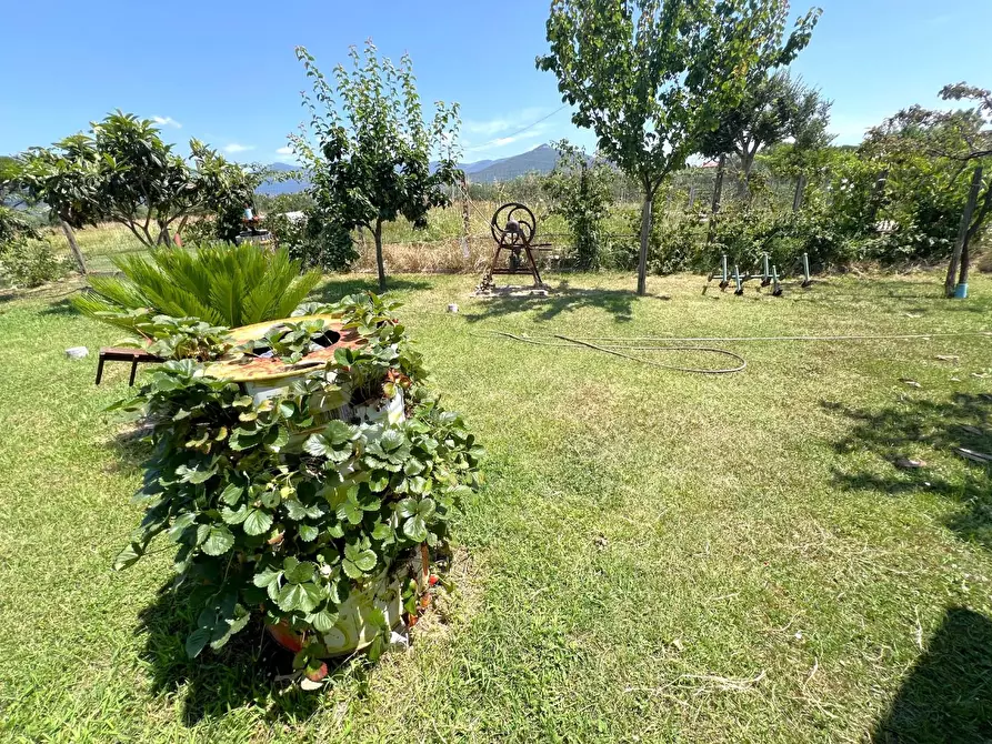 Immagine 5 di Terreno agricolo in vendita  a Cascina