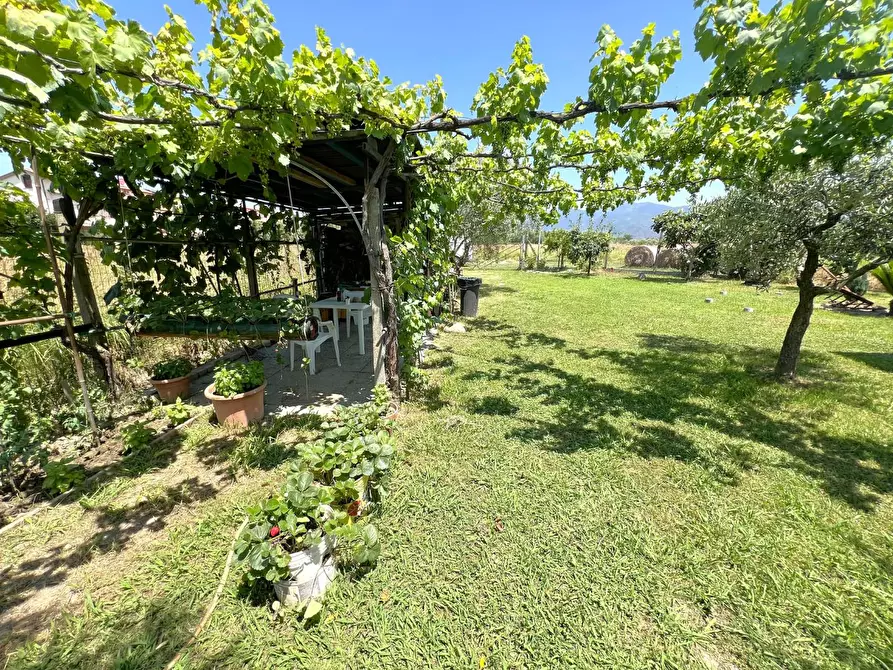Immagine 3 di Terreno agricolo in vendita  a Cascina