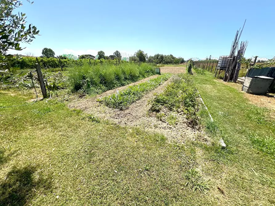 Immagine 2 di Terreno agricolo in vendita  a Cascina