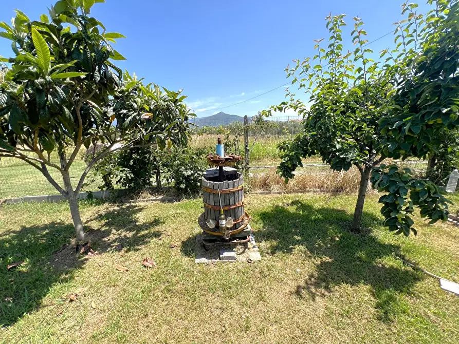 Immagine 4 di Terreno agricolo in vendita  a Cascina