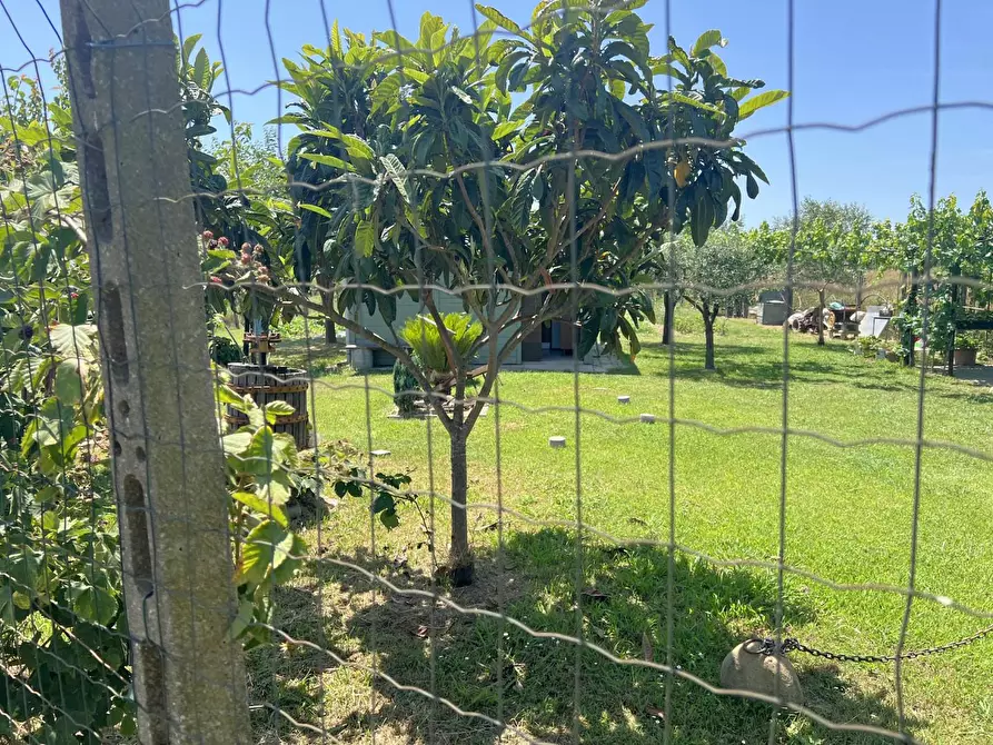 Immagine 6 di Terreno agricolo in vendita  a Cascina