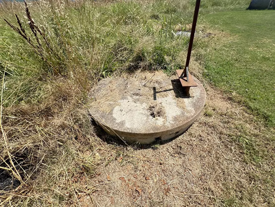 Immagine 13 di Terreno agricolo in vendita  a Cascina