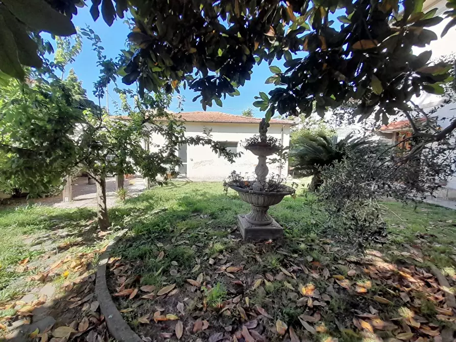 Immagine 26 di Casa indipendente in vendita  a Vecchiano