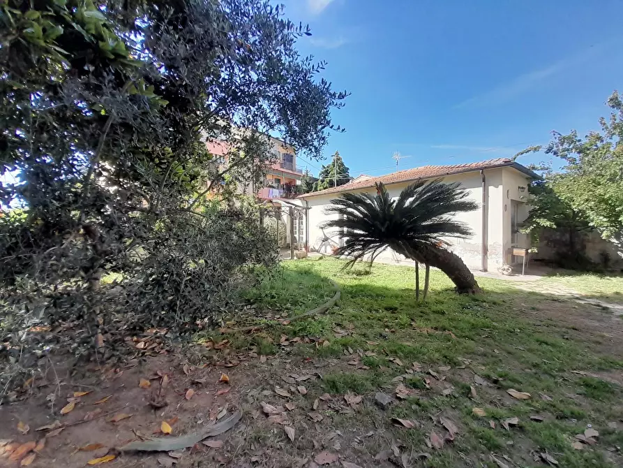 Immagine 25 di Casa indipendente in vendita  a Vecchiano